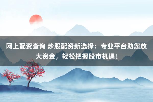 网上配资查询 炒股配资新选择：专业平台助您放大资金，轻松把握股市机遇！