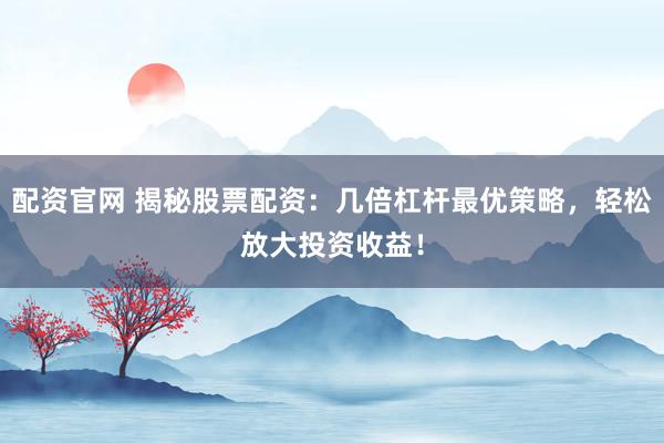 配资官网 揭秘股票配资：几倍杠杆最优策略，轻松放大投资收益！