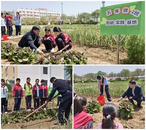 郯城县科协开展 快乐耕种 主题科普活动