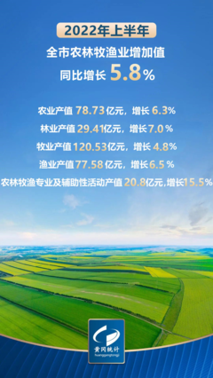 同比增长4.9%,2022年上半年黄冈经济运行情况发布!